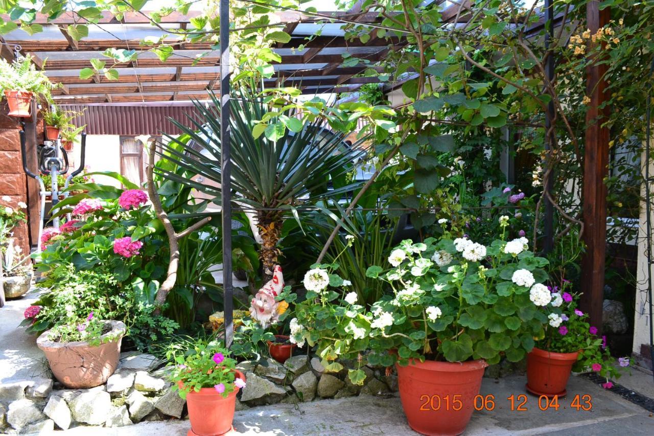 U Palycha Guest House Sukhumi Eksteriør bilde